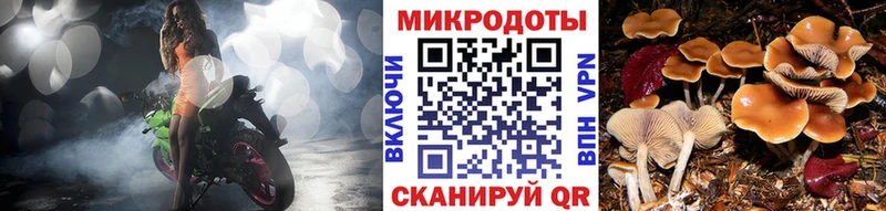 Галлюциногенные грибы MAGIC MUSHROOMS  Заволжск 